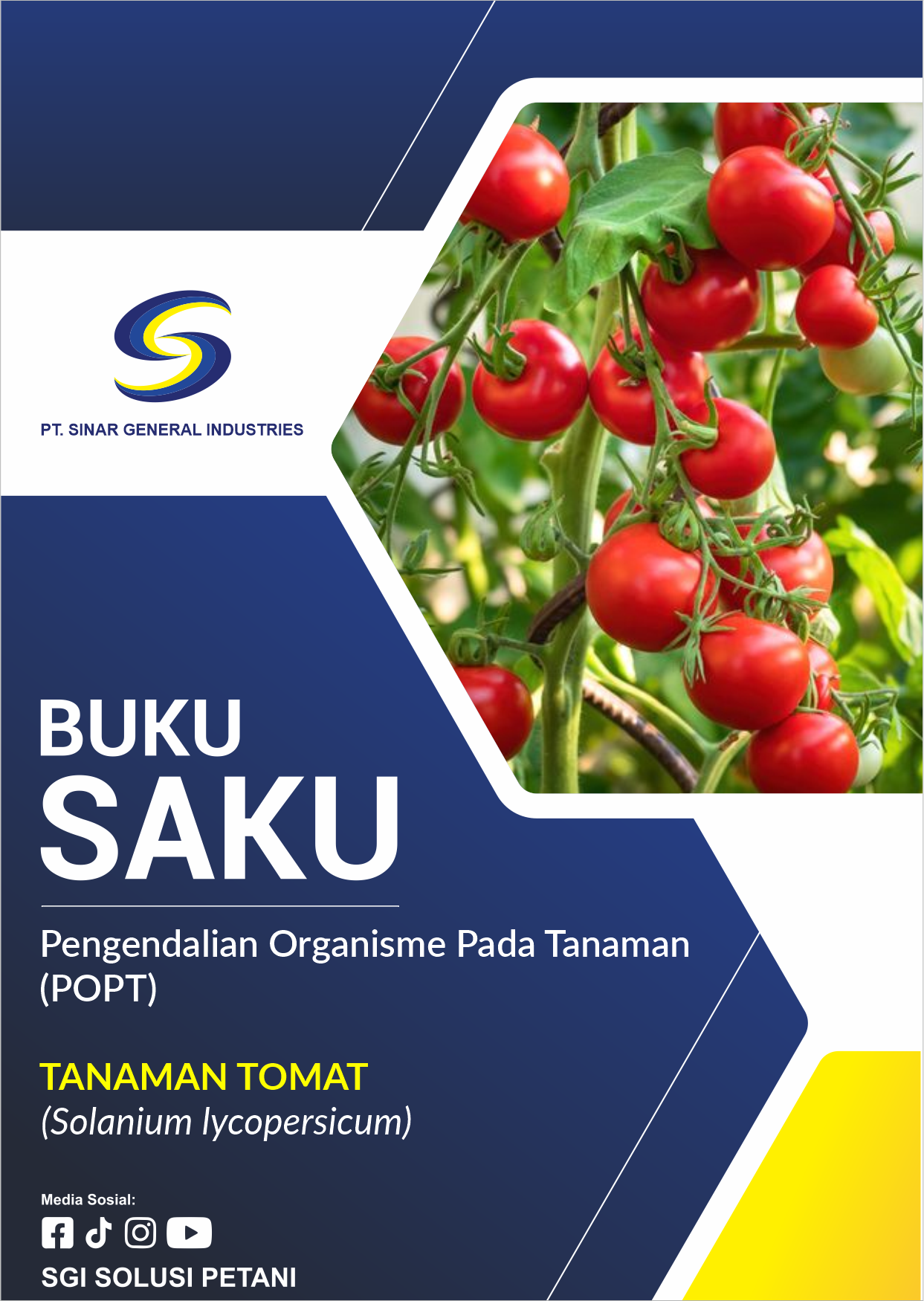 Tanaman Tomat