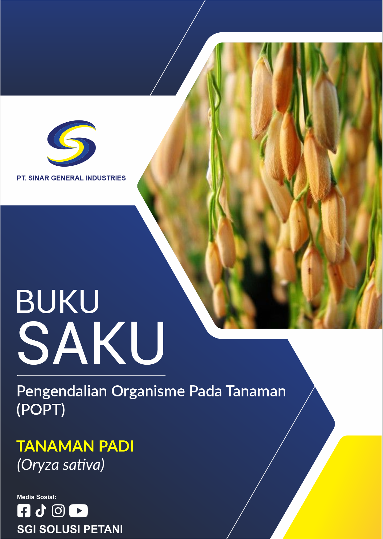 Tanaman Padi