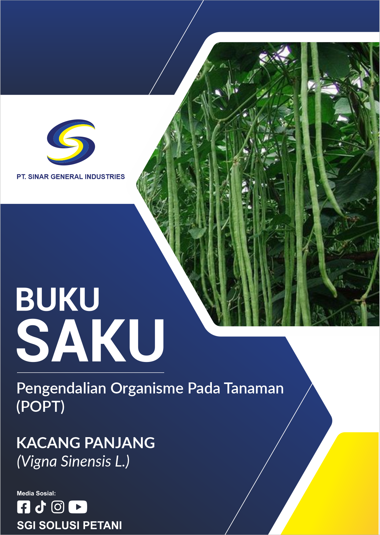 Tanaman Kacang Panjang