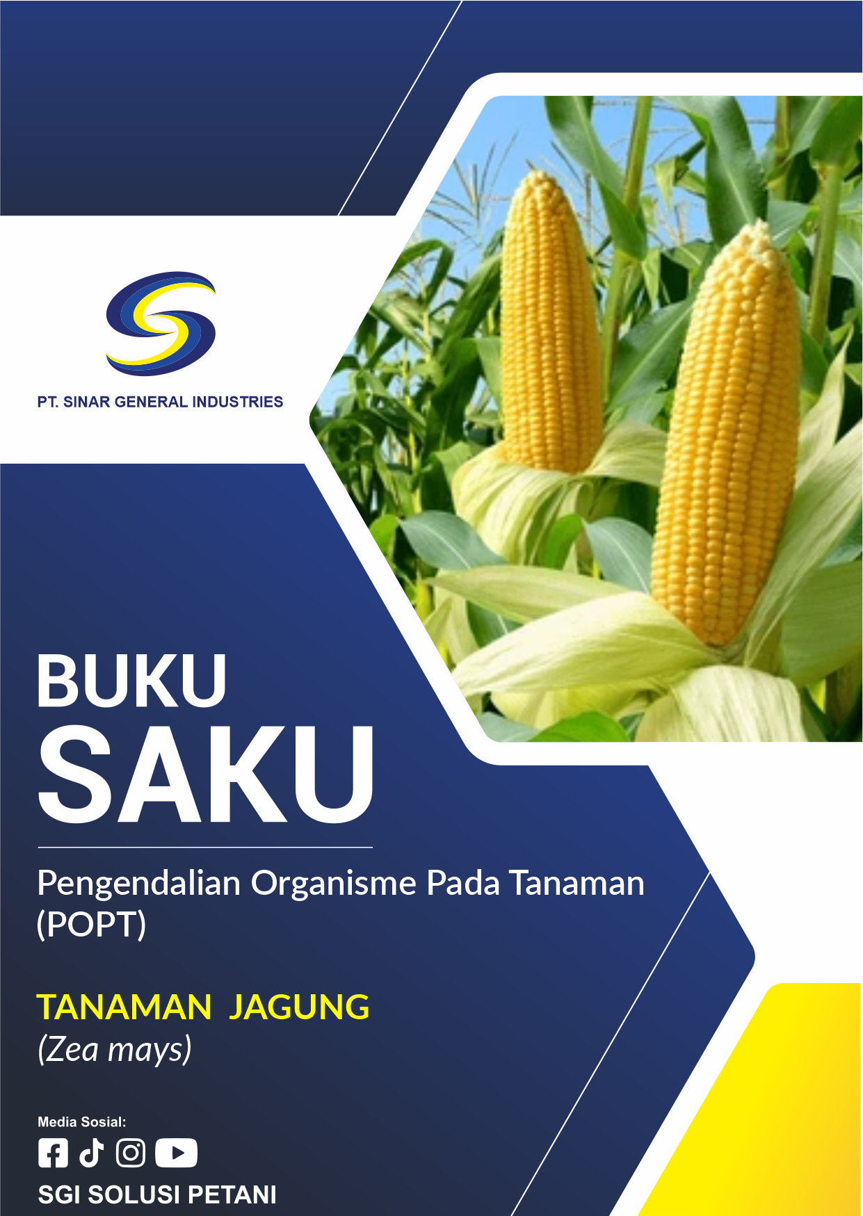 Tanaman Jagung