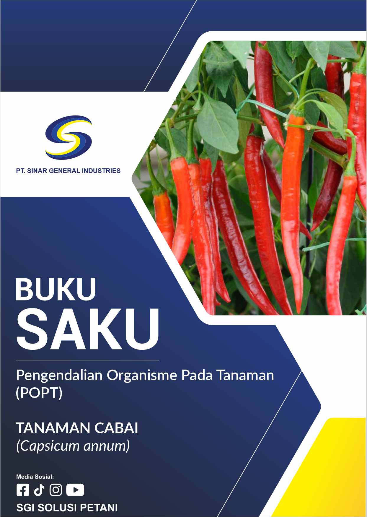 Tanaman Cabai