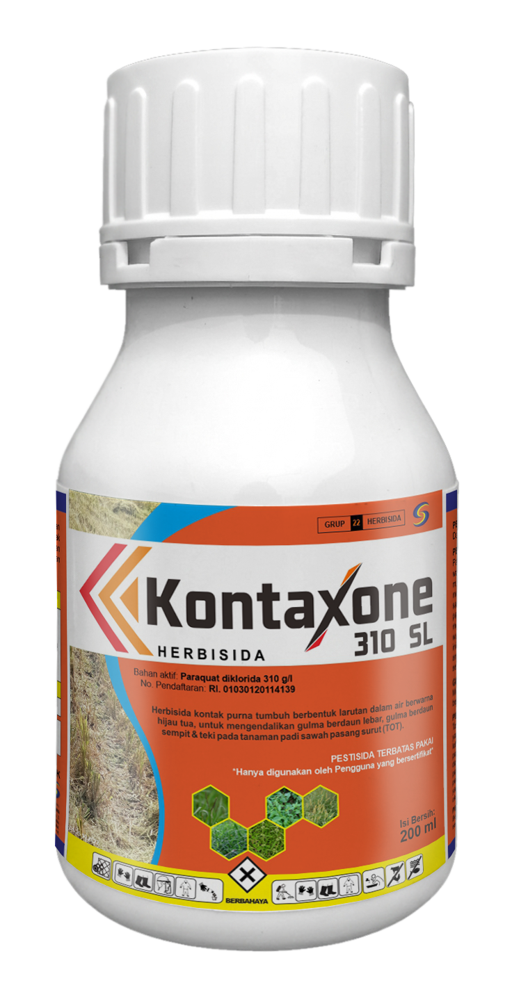 Kontaxone 310 SL