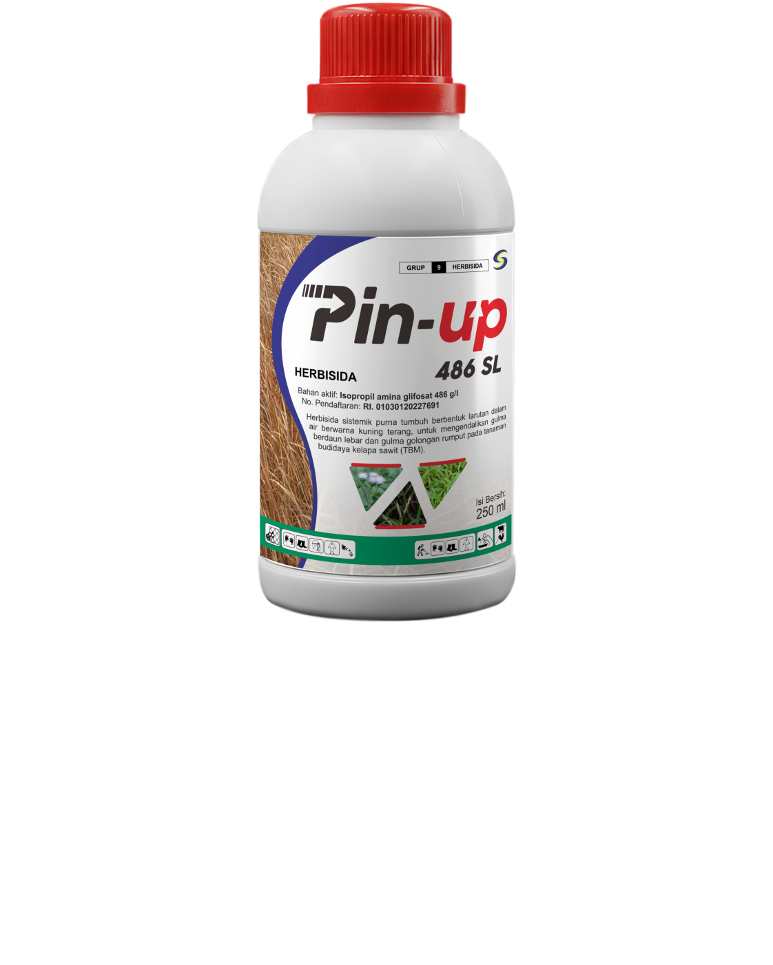 Pin-Up 486 SL