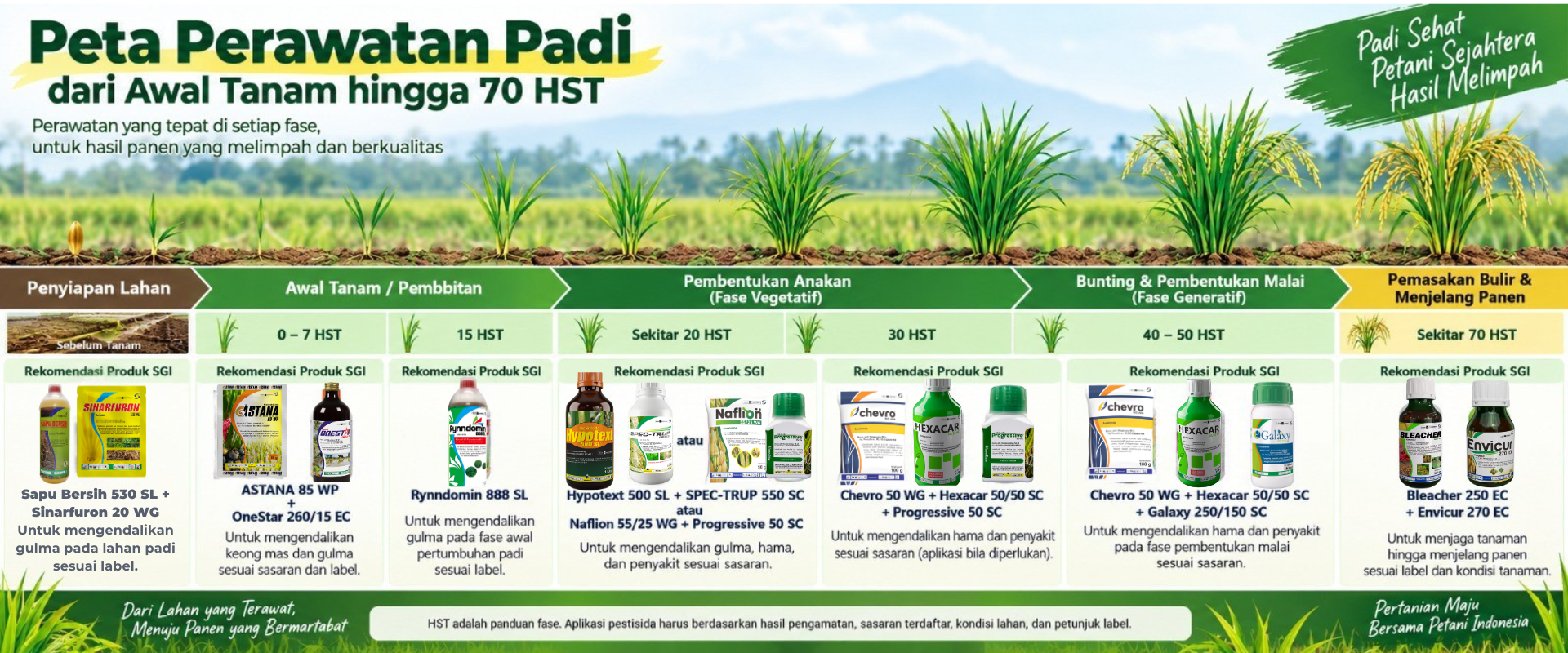 Panduan strategi perawatan padi dari pembibitan, pembentukan anakan, fase generatif hingga panen