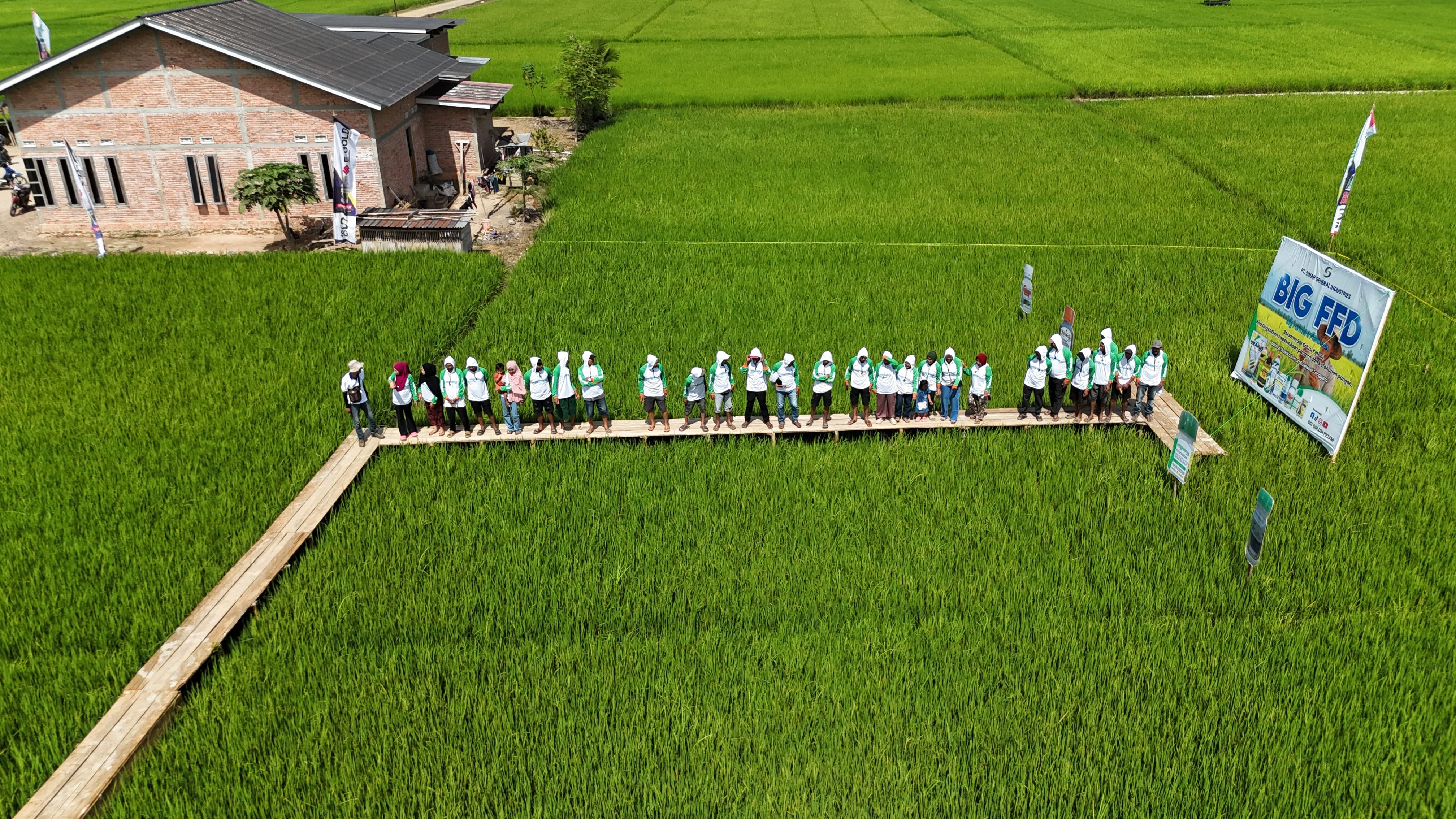 Kegiatan BFFD SGI bersama petani padi di Ladongi Kolaka Timur