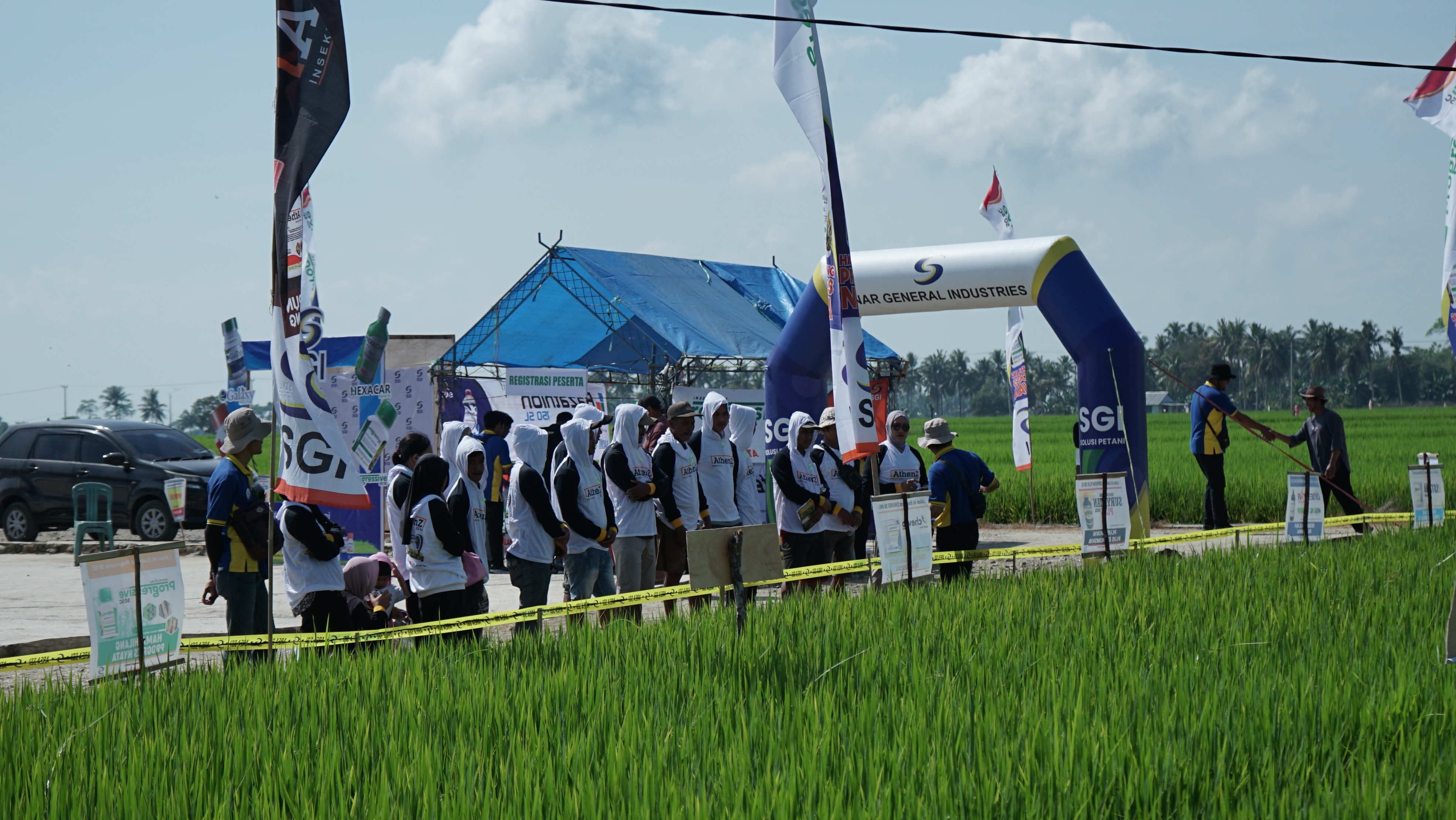 Kegiatan BFFD SGI bersama petani padi di Ladongi Kolaka Timur