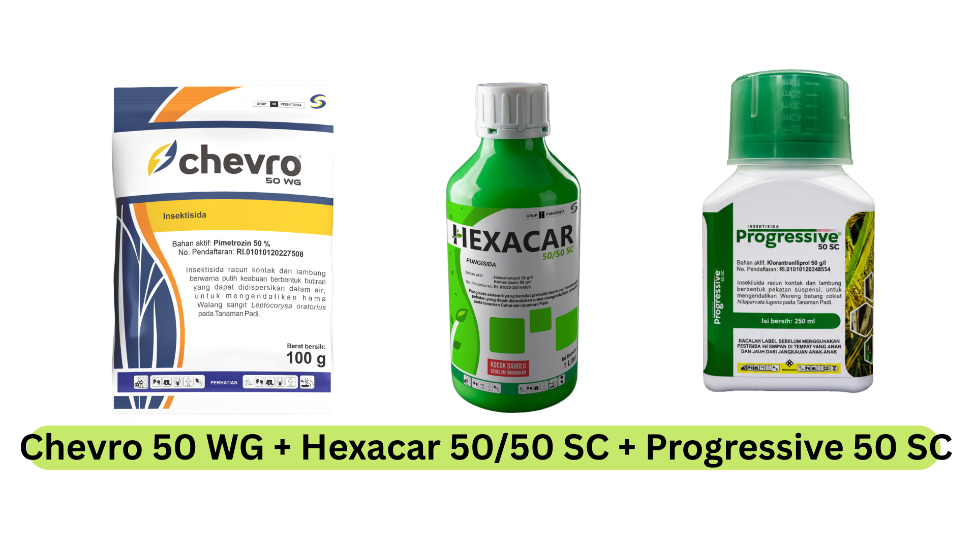STRATEGI PERAWATAN PADI UMUR 30 HST, KOMBINASI Chevro 50 WG + Hexacar 50/50 SC + Progressive 50 SC