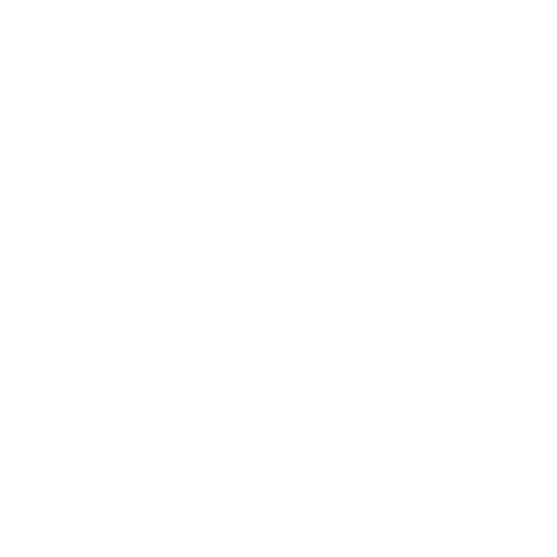 icon professional