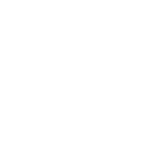 Icon Document
