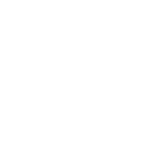 icon guarantee