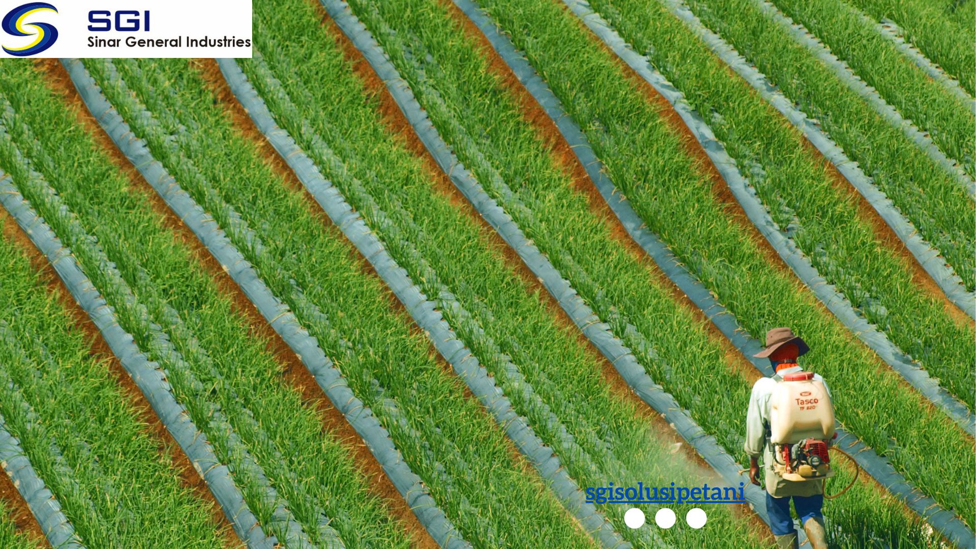 How to Choose the Right Pesticide to Effectively Control Plant Pests