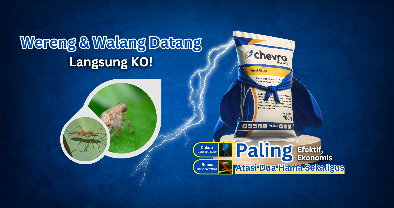 Wereng & Walang Datang