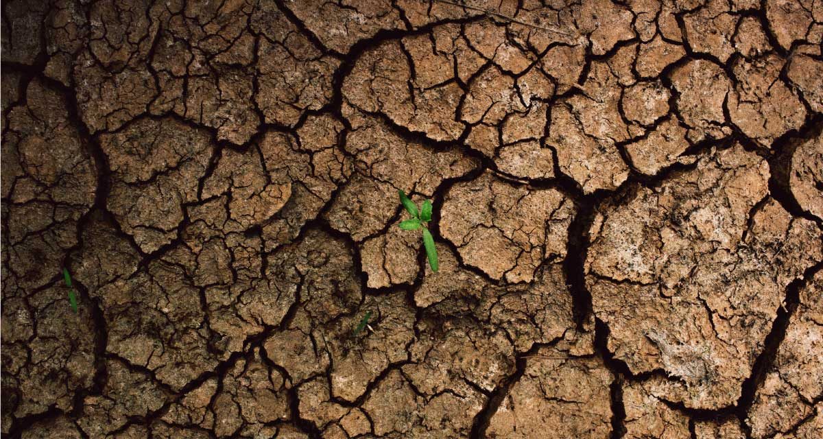 menghadapi El Nino dan kekeringan pertanian