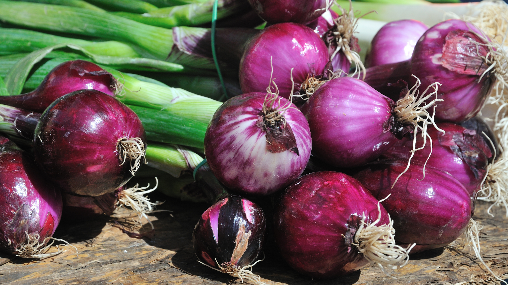Gambar Tanaman Bawang merah, Produk Coastal 